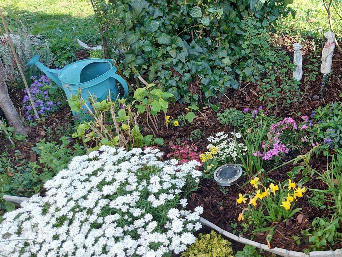 Garten Westterrasse