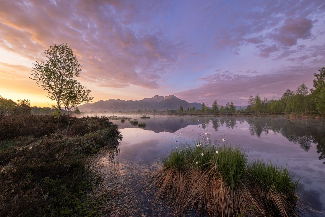 Kendlmühlfilzen in Grassau