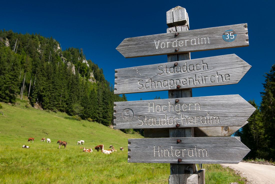 Vorderalm