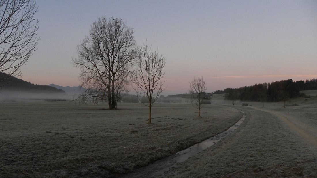 Novemberstimmung Bergener Moos