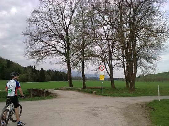 Bergener Moos
