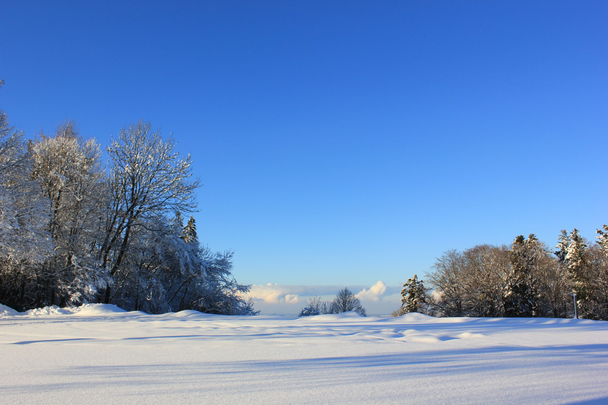 Winterlandschaft