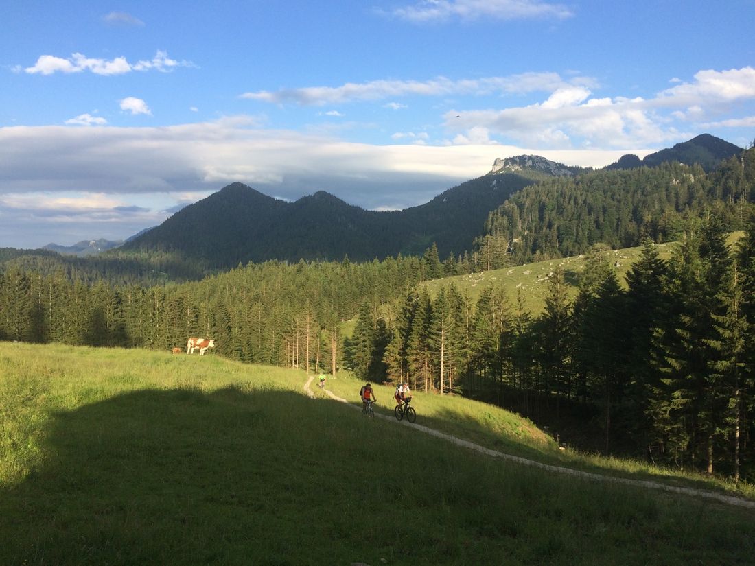 Blick ins Rottauer Tal