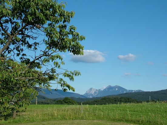 Siegsdorfer Sommerlandschaft