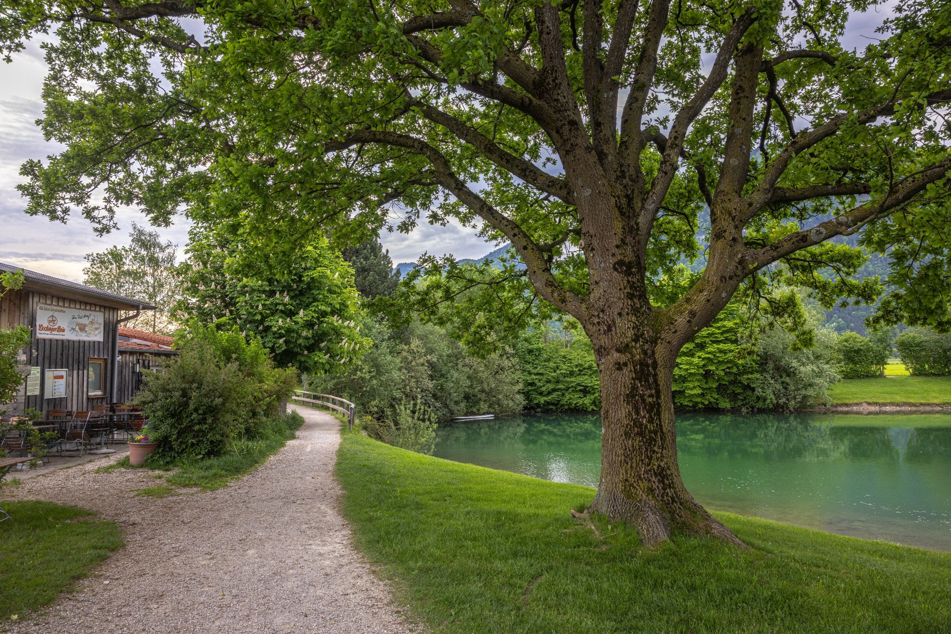 Gehweg am Reifinger See