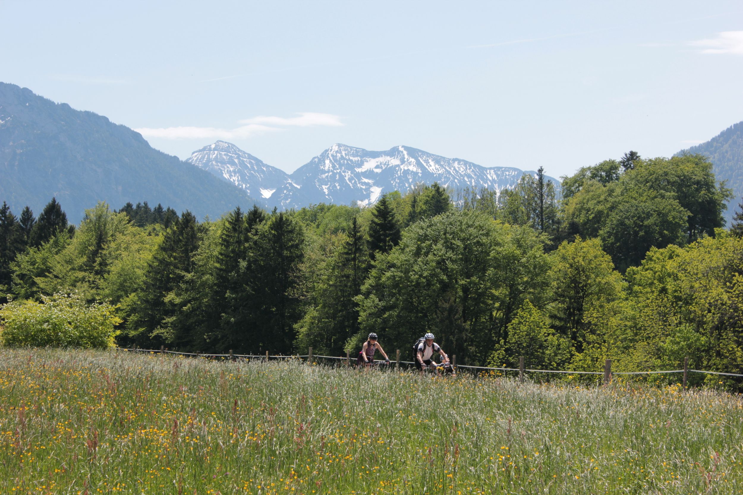 Landschaft mit Radfahrer