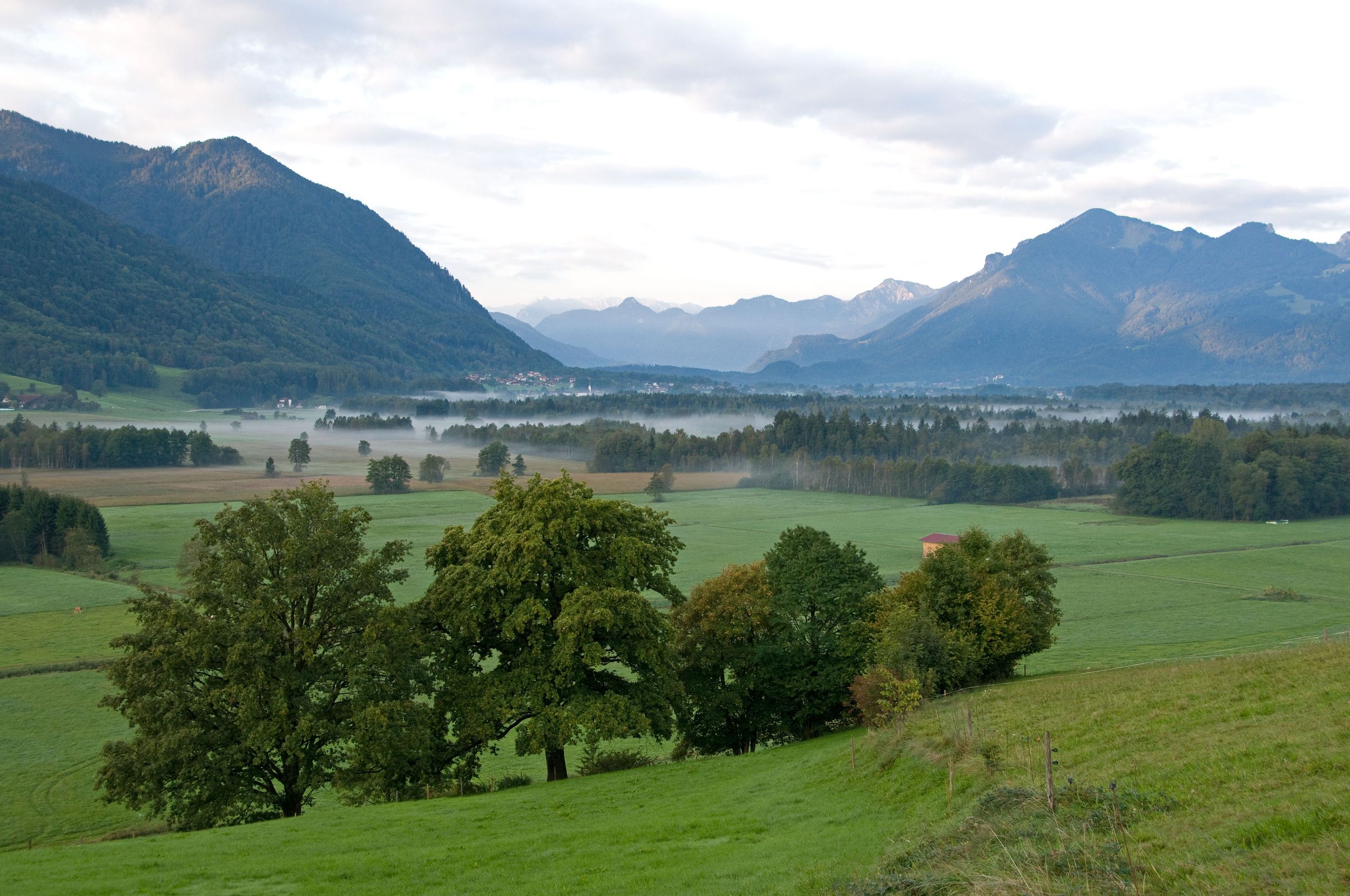 Bergener Moos