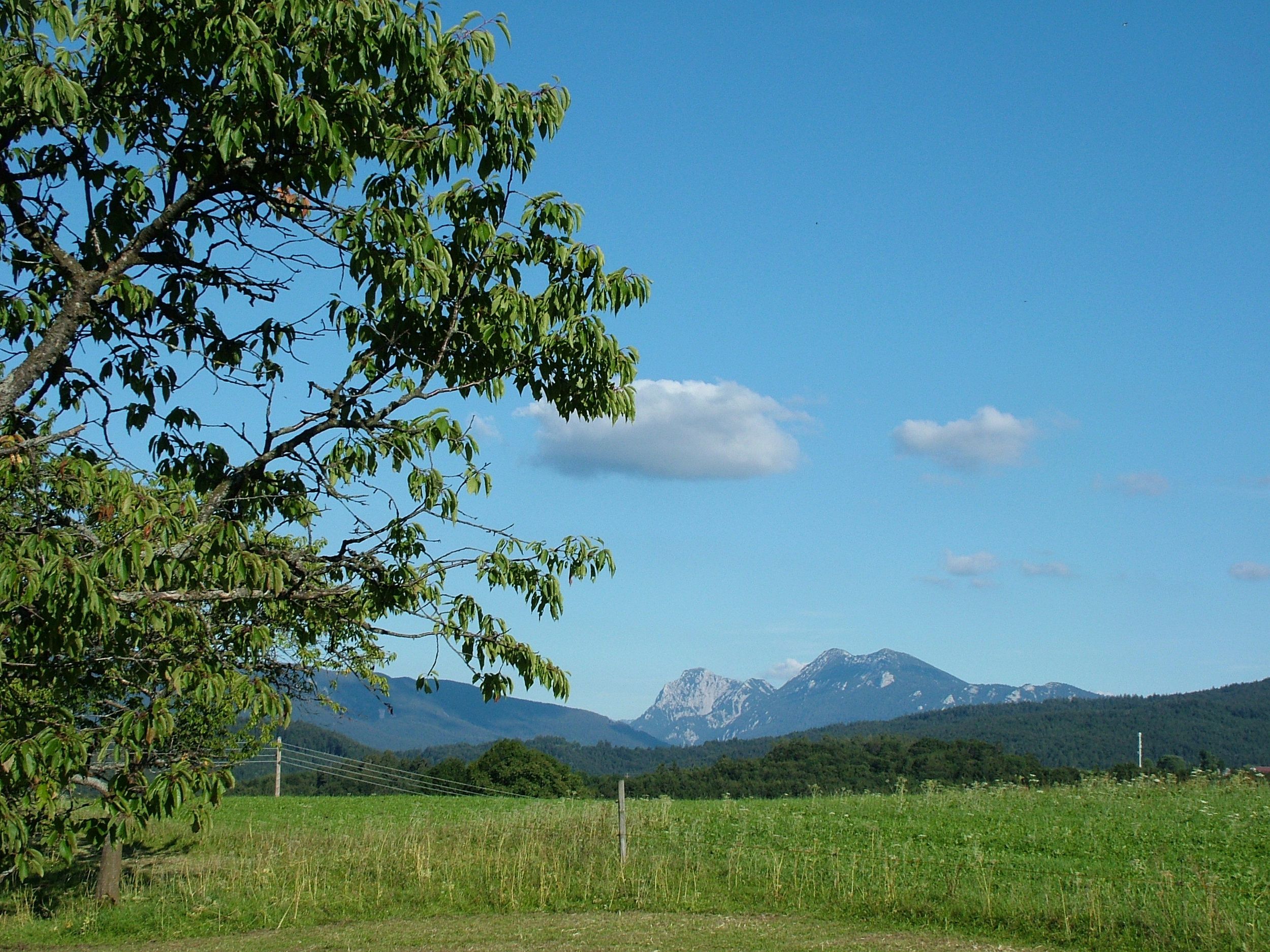Siegsdorfer Sommerlandschaft