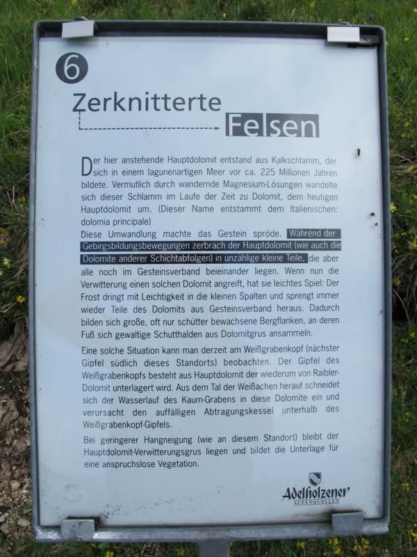 Tafel 6 zerknitterte Faltung