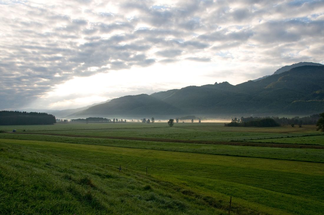 Bergener Moos