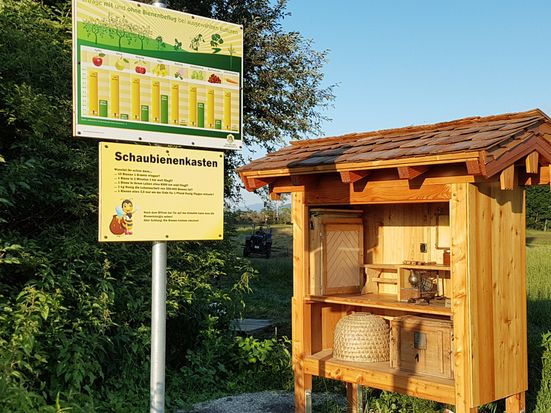 Schaubienenkasten Rottau