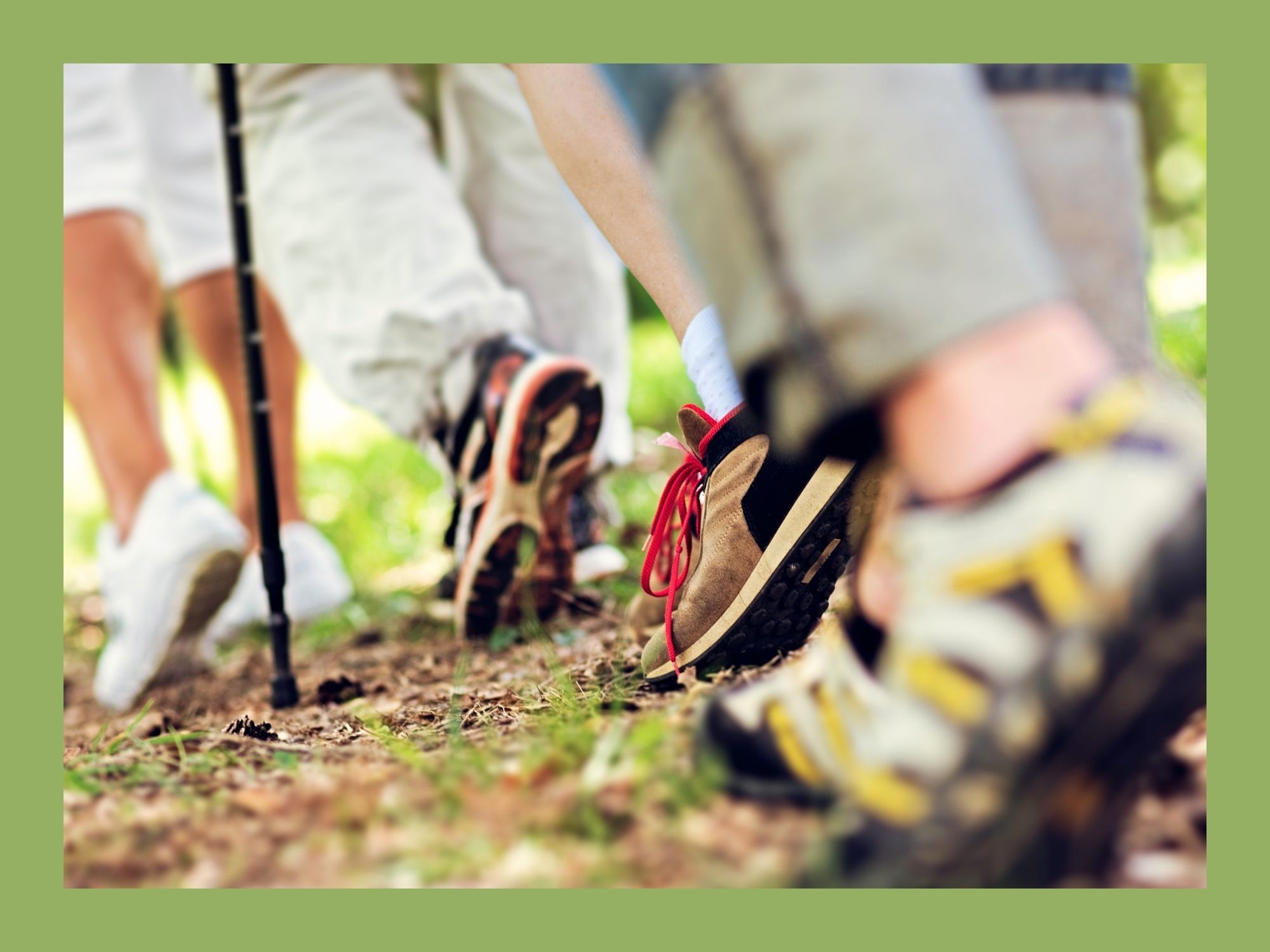nordic-walking_6