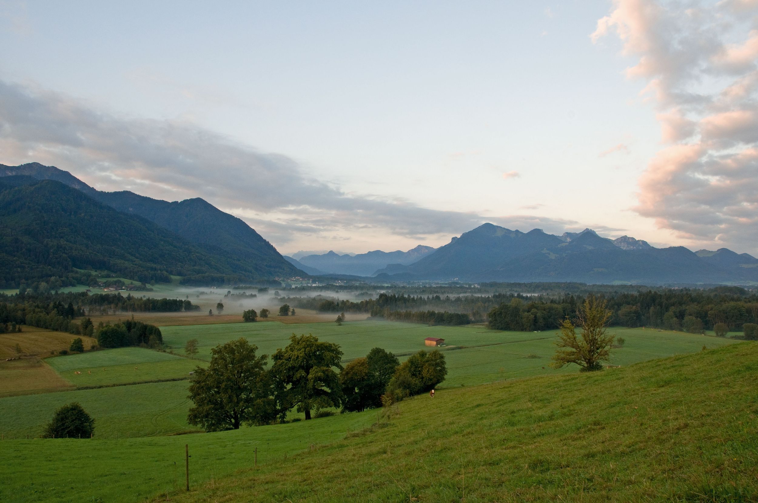 Bergener Moos