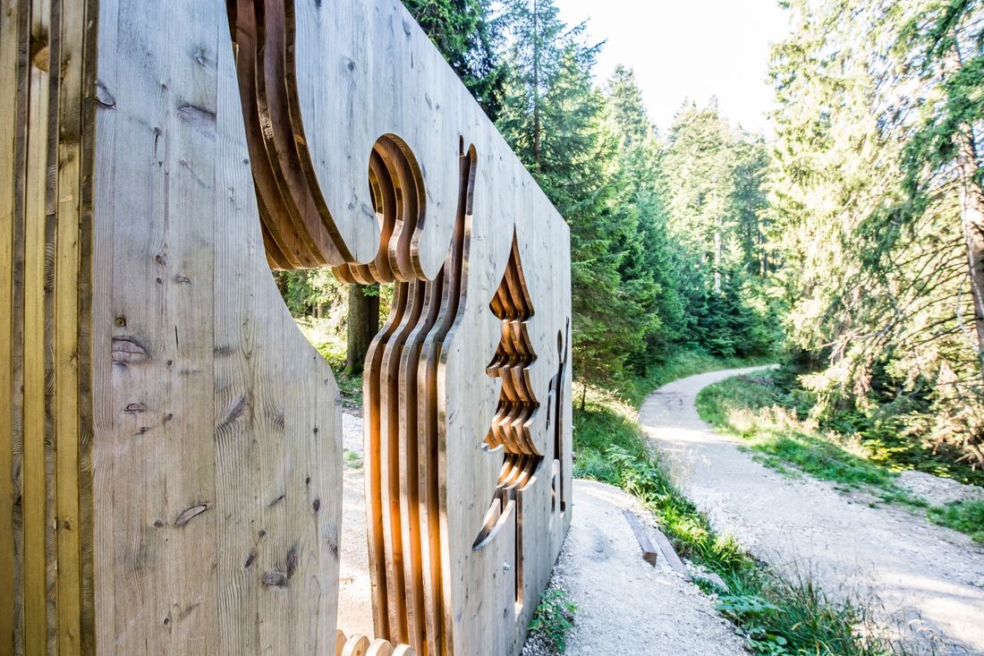 Bergwalderlebnisweg