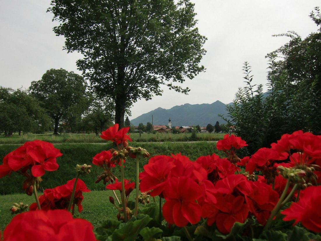 Freie Sicht zur Ortsmitte von Grassau