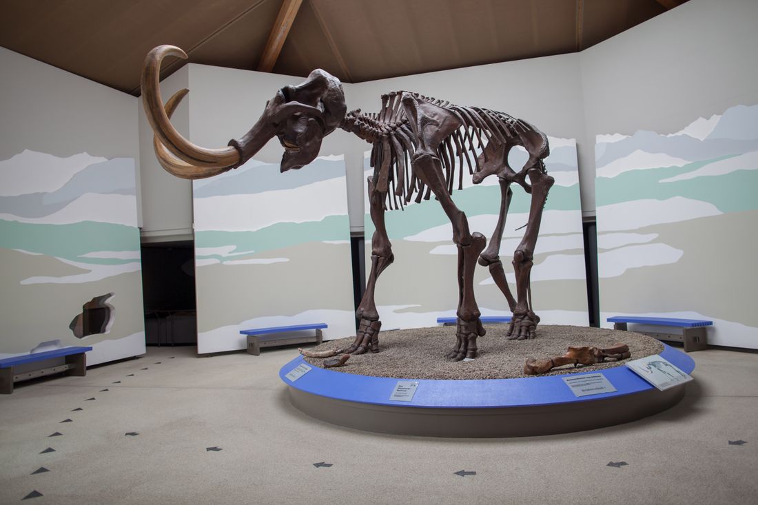 mammutmuseum-siegsdorf