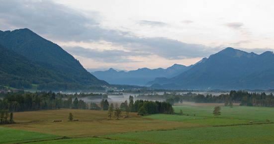 Bergener Moos
