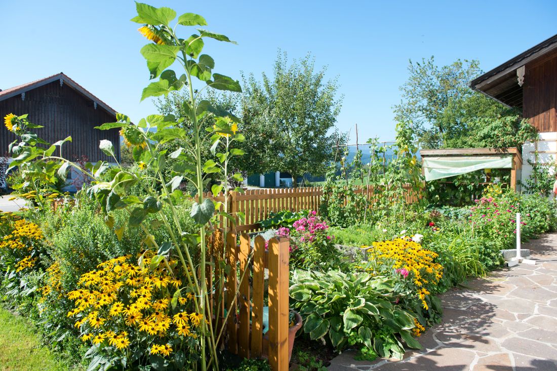 Garten