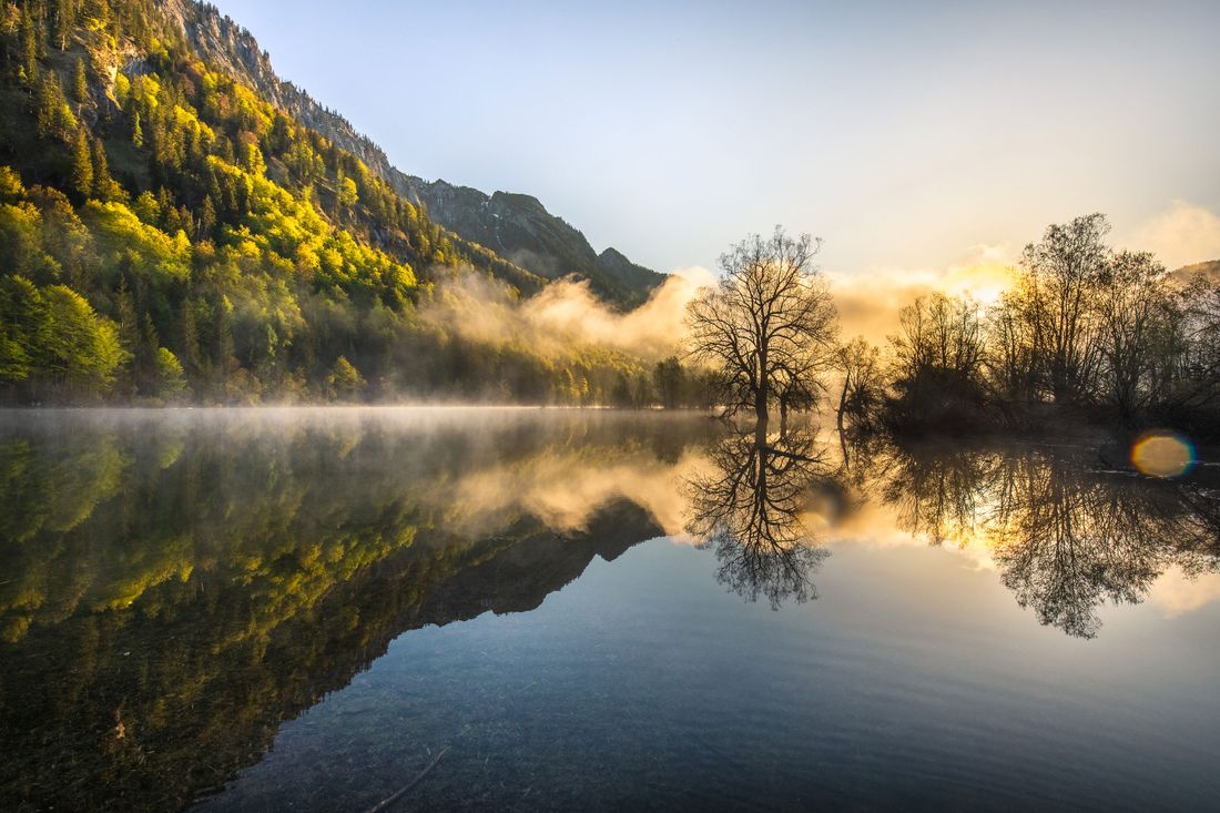 Nebel-im-Drei-Seen-Gebiet