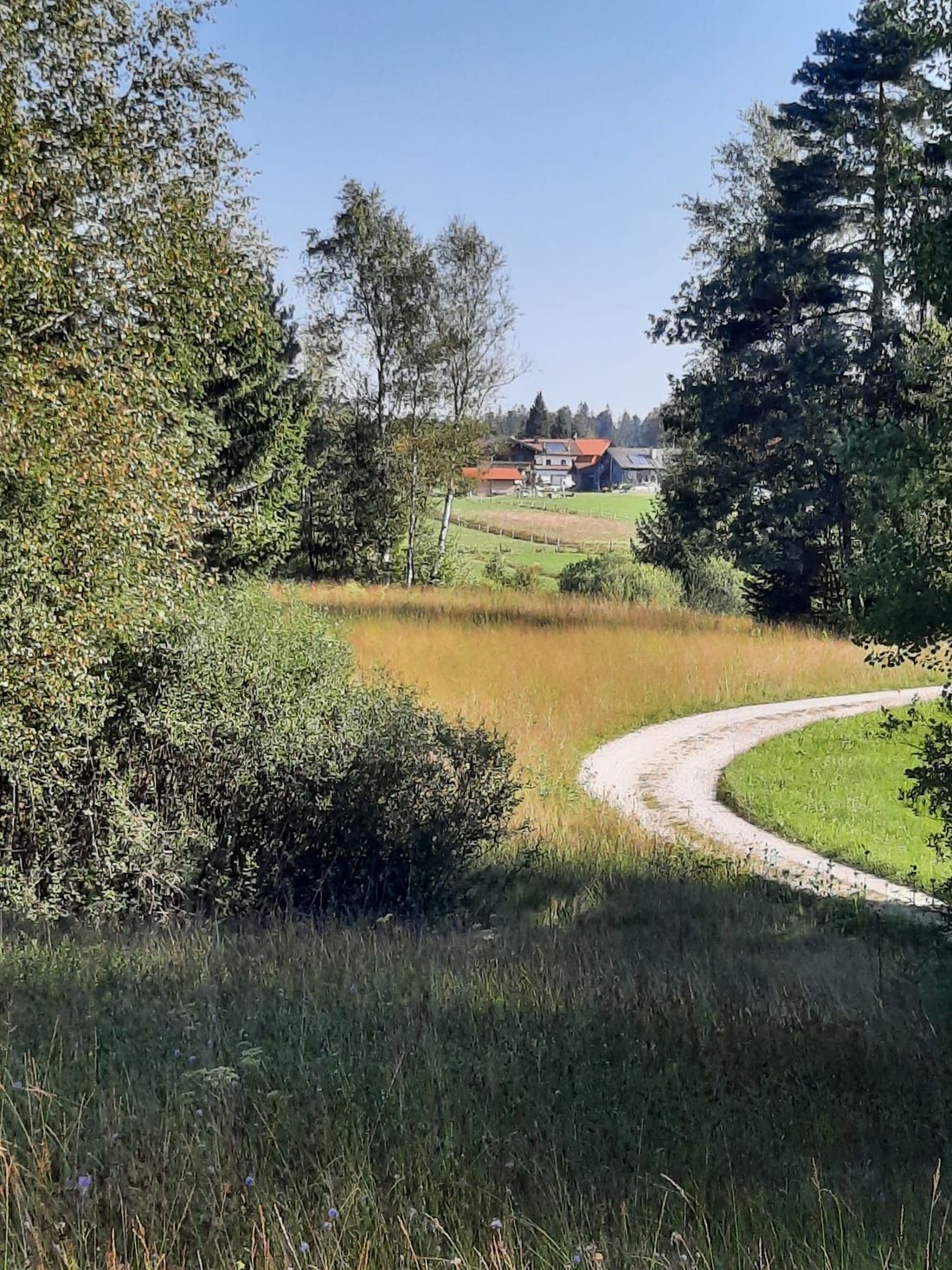 Wanderwege durch unser Hochmoorgebiet