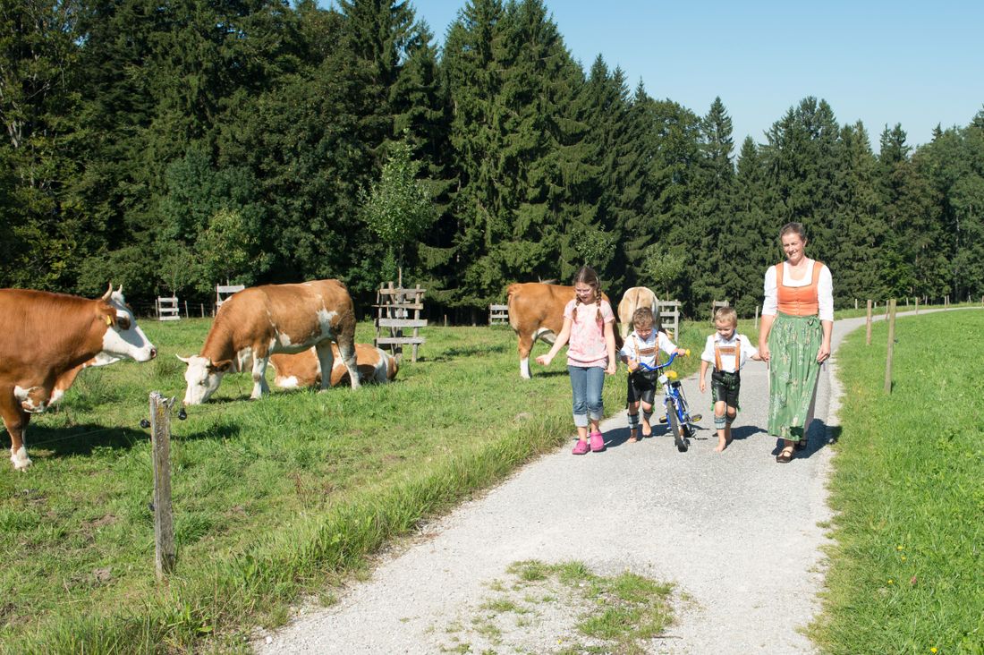 Sommerlandschaft