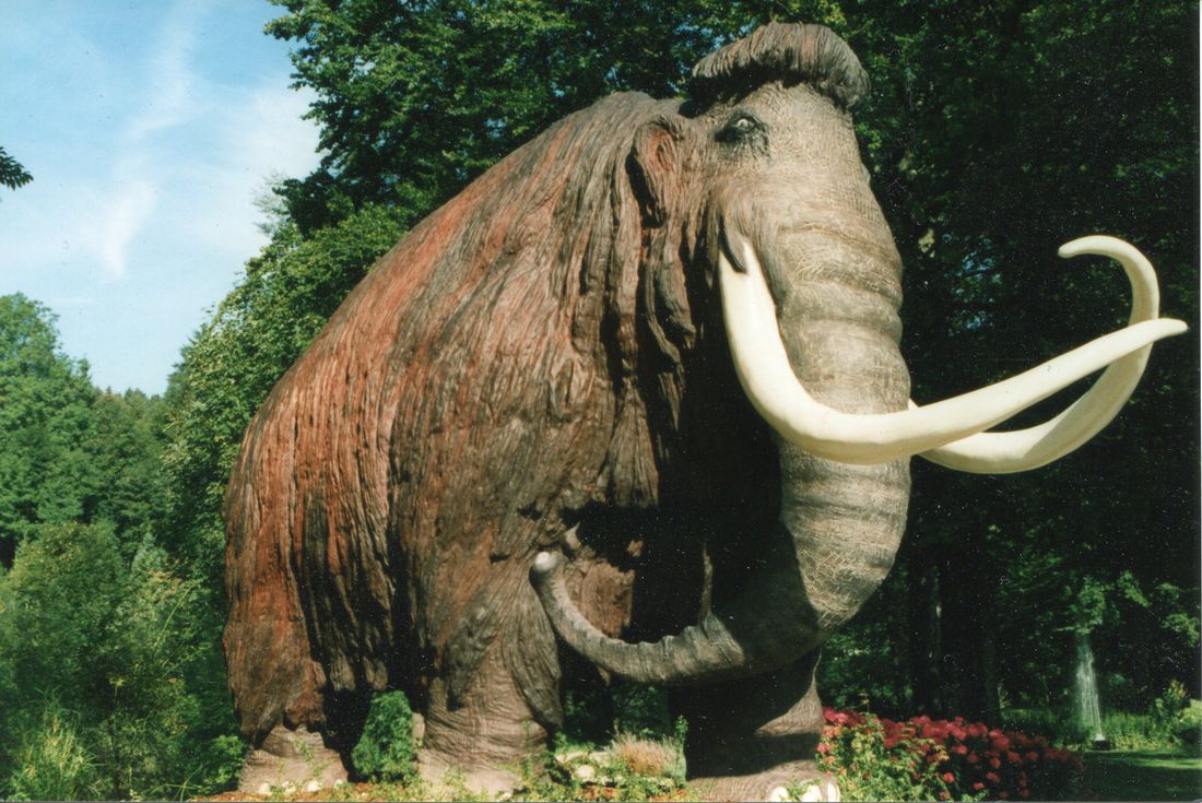 Siegsdorfer Mammut