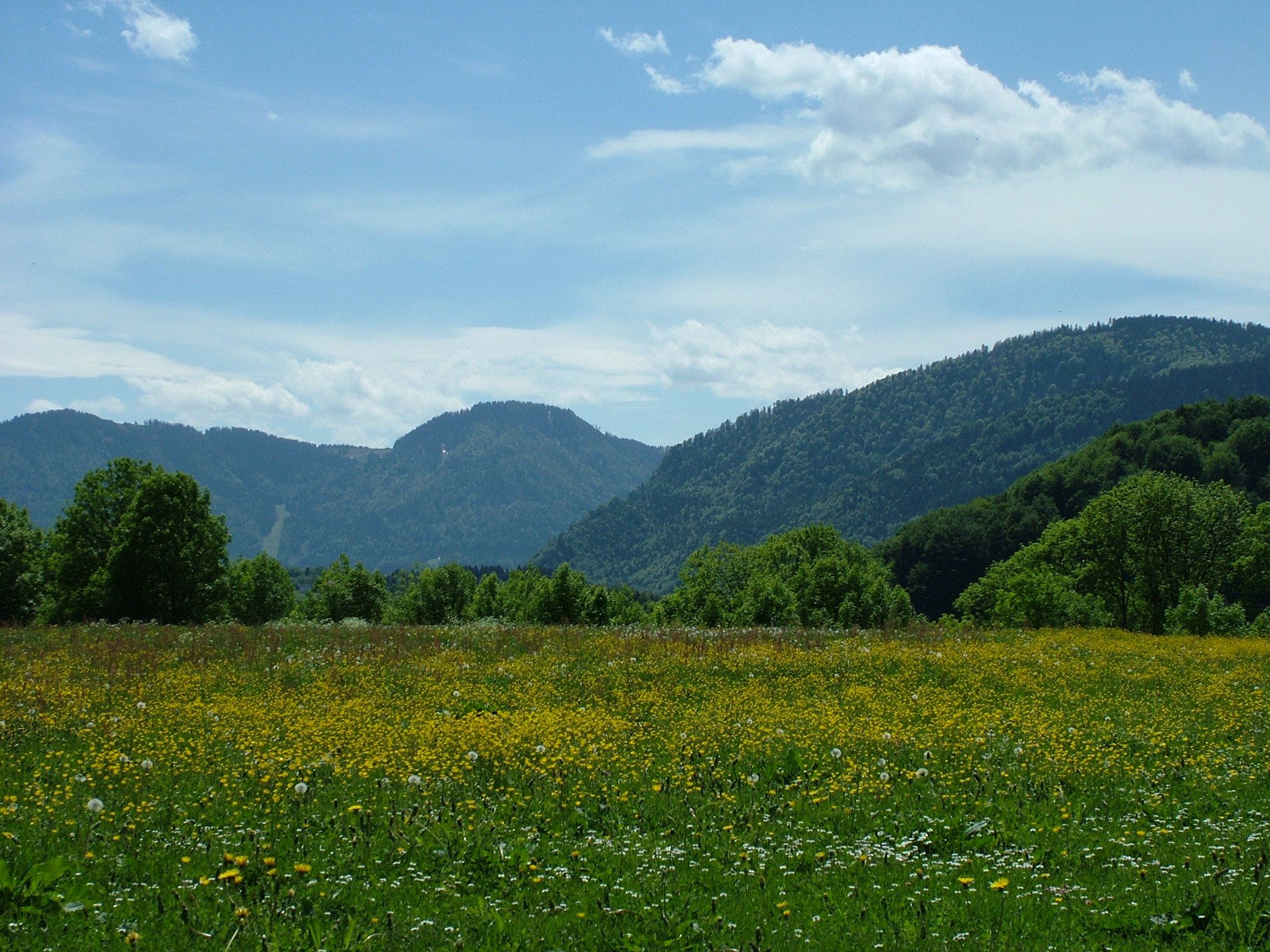 Sommer in Siegsdorf