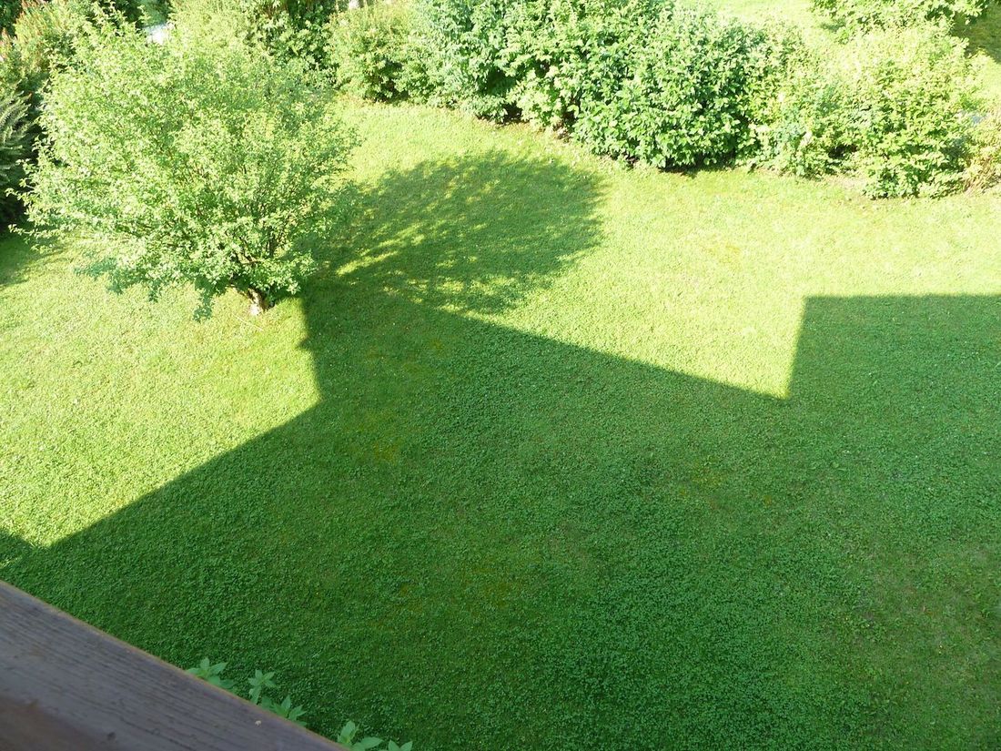 Garten Liegewiese