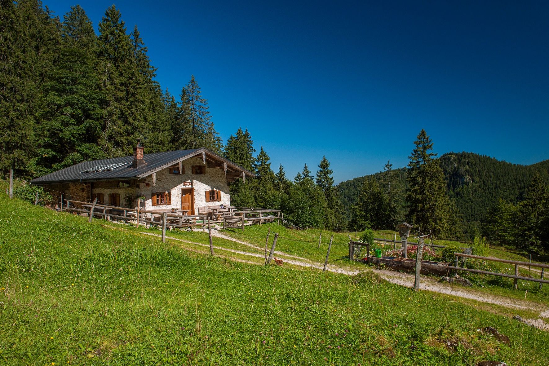 Staudacher Alm