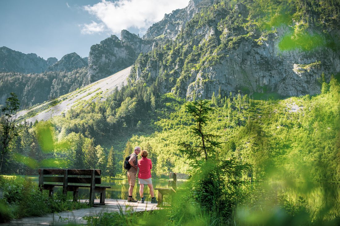 Der Inzeller Frillensee im Sommer