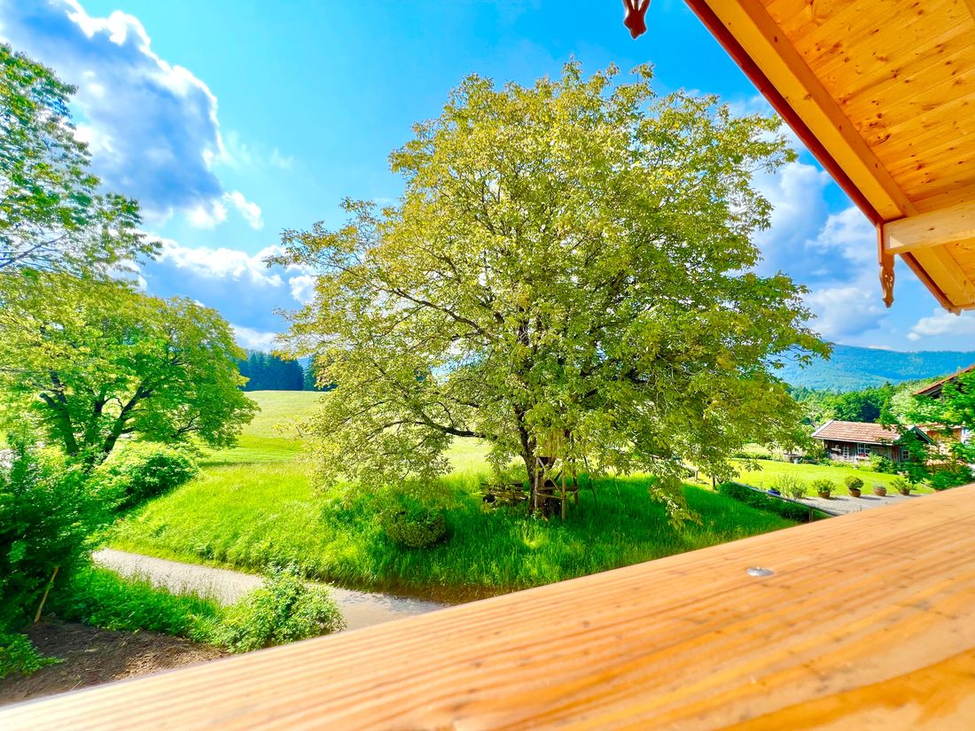 Natur soweit das Auge reicht
