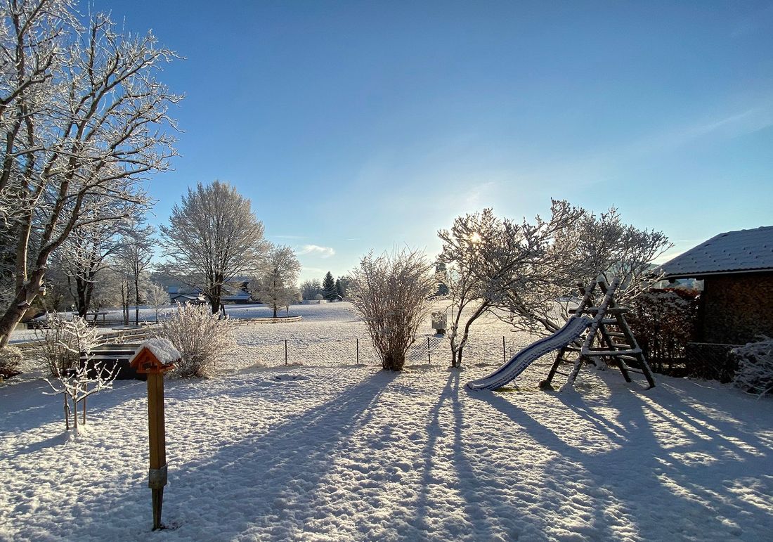 Winter