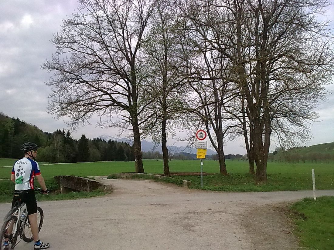 Bergener Moos