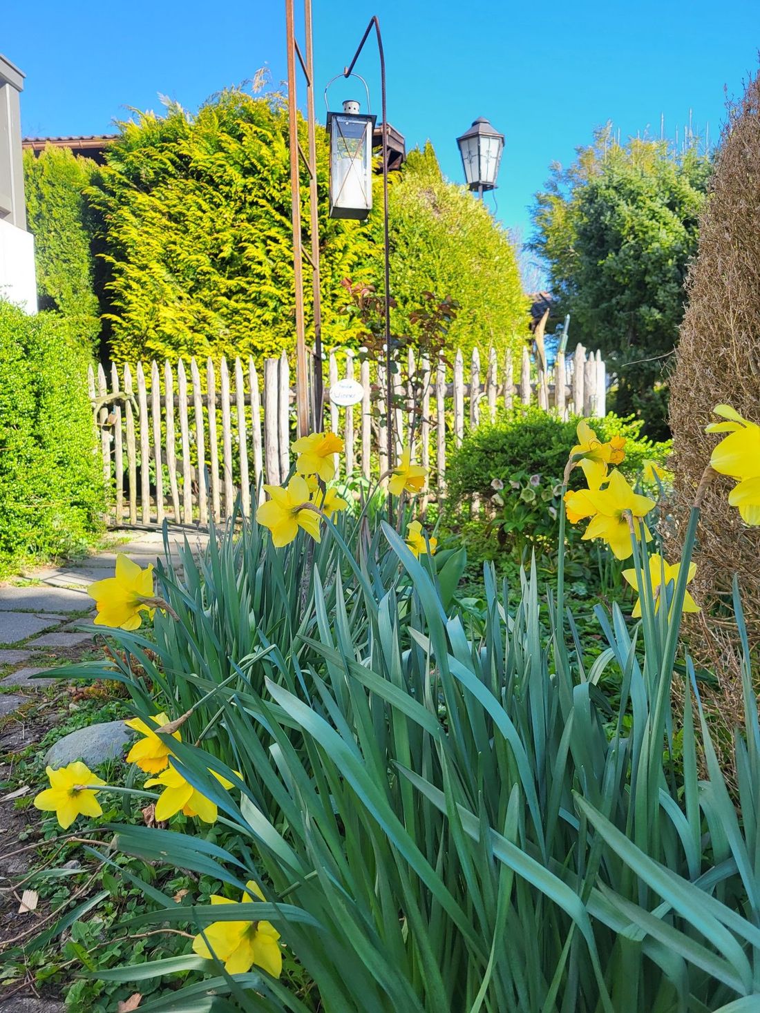 Frühling bei graublau