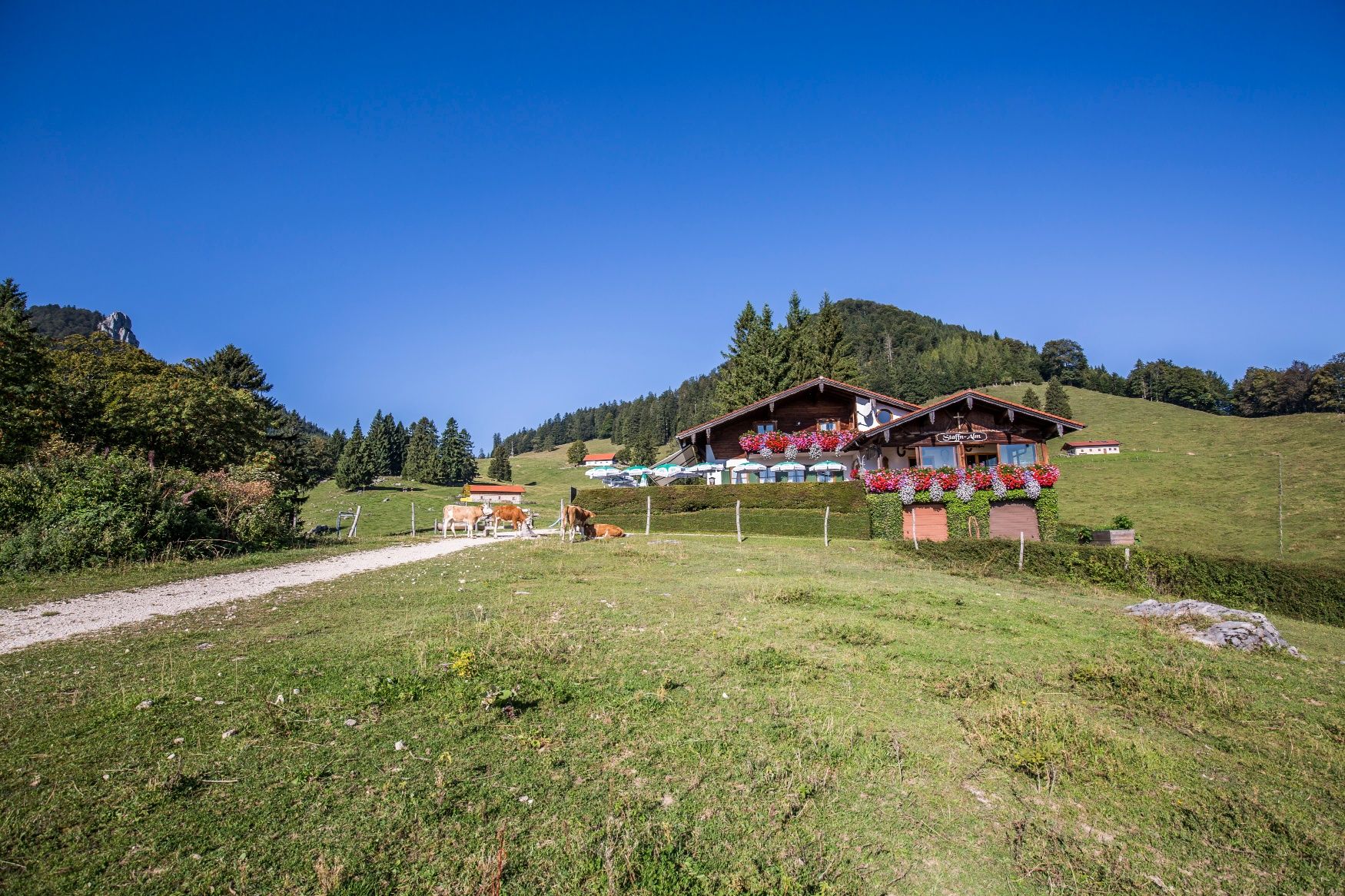 Staffn-Alm