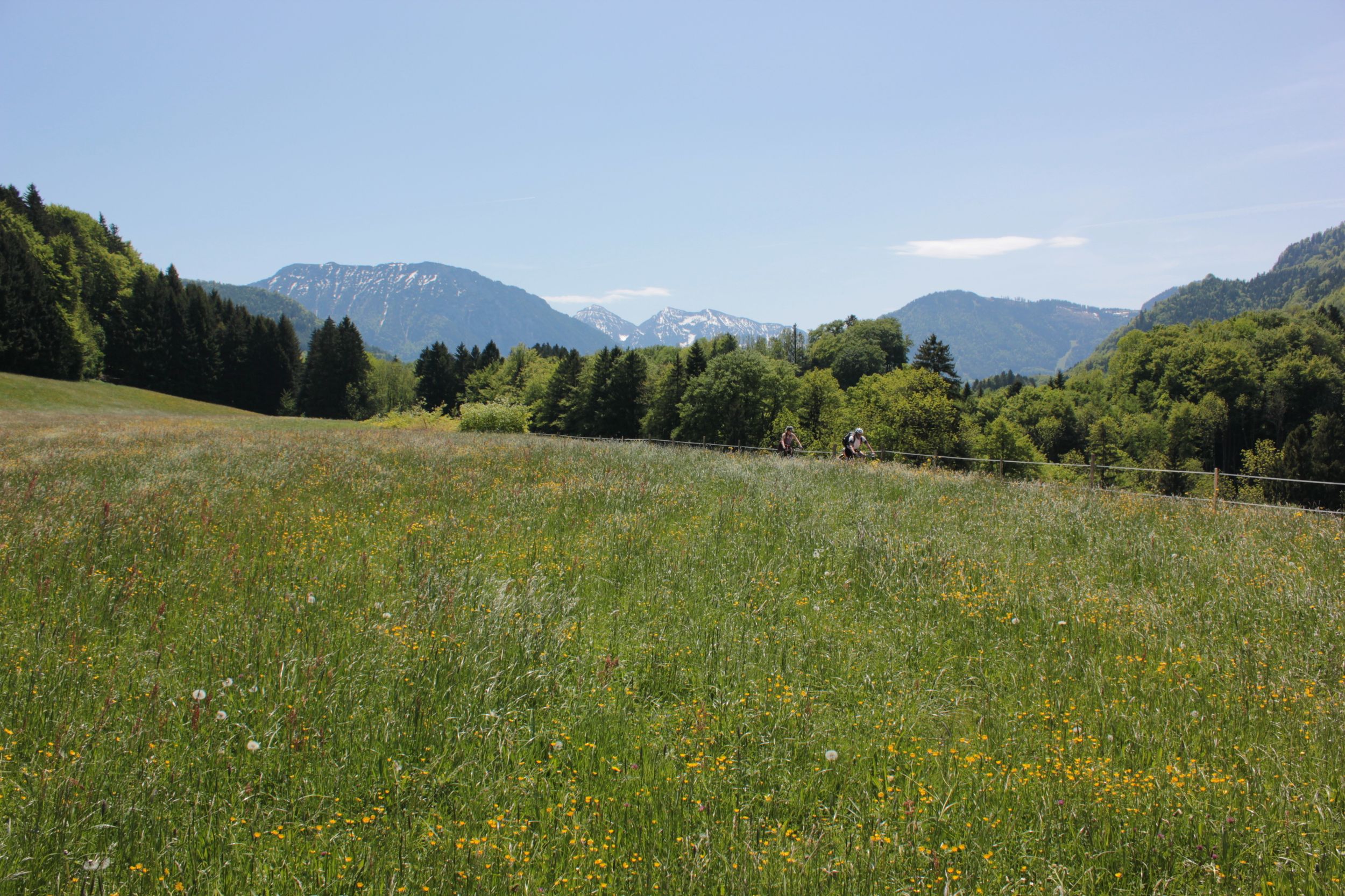 Sommerlandschaft in Siegsdorf