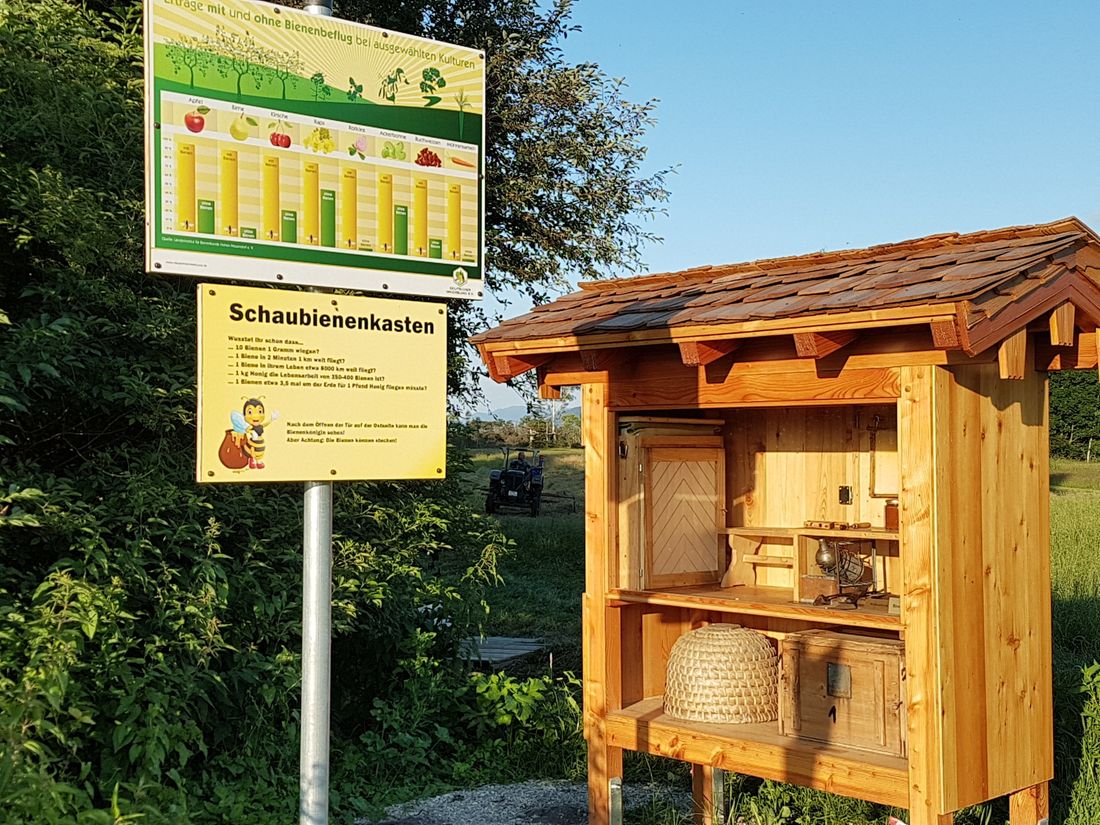 Schaubienenkasten Rottau
