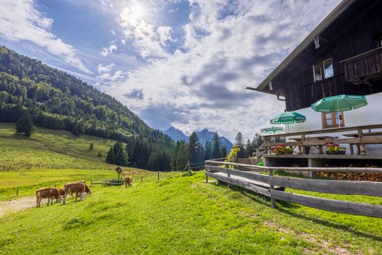 Rottauer Moieralm