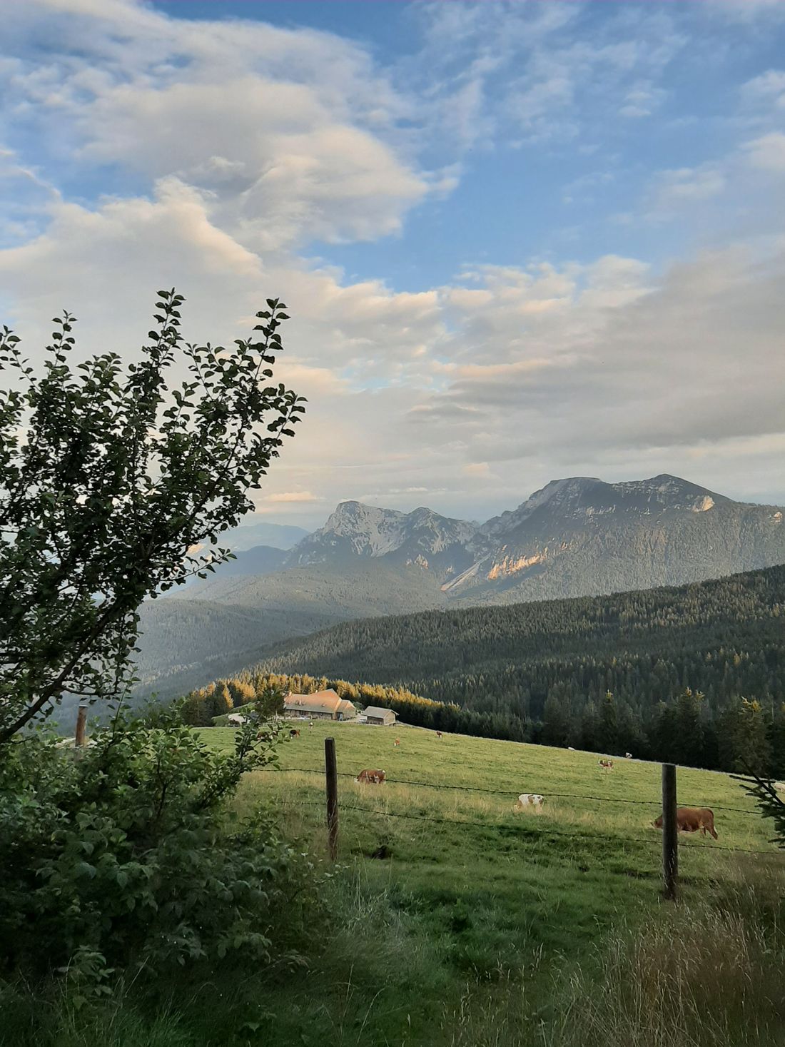 Almtour, Blick auf "Stoisseralm"